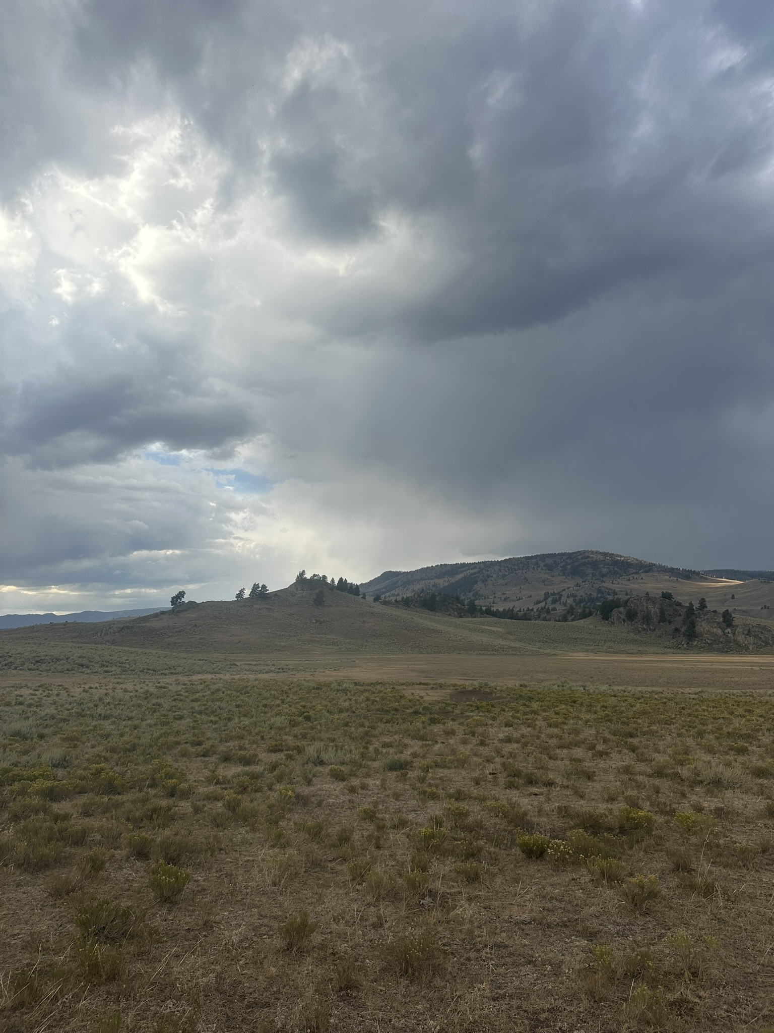 Yellowstone And Grand Teton National Parks - Image 1095